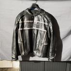 Veste originale Harley Davidson 100% cuir de vache., Harley Davidson, Neuf, sans ticket, Manteau | cuir