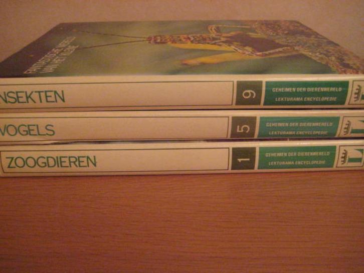 Lekturama encyclopedie: Vogels-Insecten-Zoogdieren – 3 delen, Boeken, Encyclopedieën, Zo goed als nieuw, Los deel, Dieren, Ophalen of Verzenden