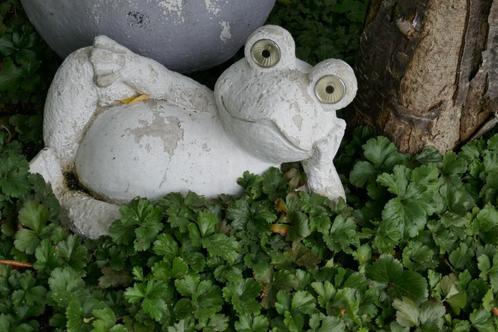 duo de 2 grenouilles couchées pour le jardin ou la terrasse, Jardin & Terrasse, Statues de jardin, Utilisé, Animal, Autres matériaux