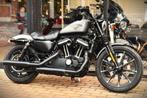 HARLEY DAVIDSON IRON 883 ***MOTOVERTE.BE***, Entreprise, Chopper, 2 cylindres, 883 cm³