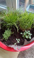 Rode bloembak Vibe & Move, Tuin en Terras, Bloembakken en Plantenbakken, Ophalen, Kunststof, Gebruikt, Minder dan 30 cm