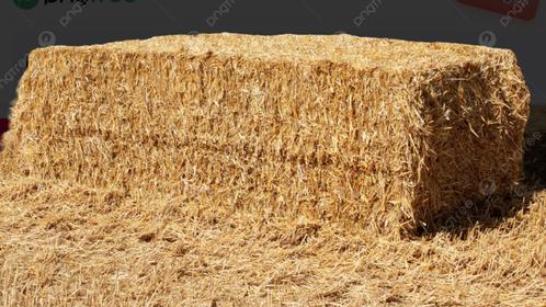Ballots de paille à vendre, Dieren en Toebehoren, Kattenbakken, Ophalen