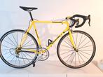 GAZELLE AA PRO alleen /frame .champion de mondial campagnolo, Fietsen en Brommers, Ophalen of Verzenden