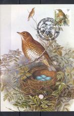 Année 1991 : Carte maximum 2426 - Oiseaux - Grive musicienne, Enlèvement ou Envoi