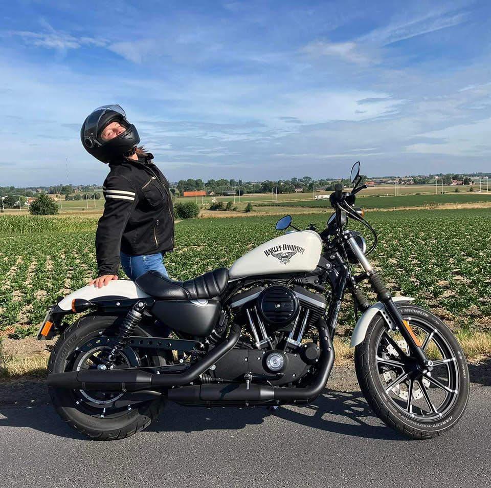 harley davidson sportster xl883, 2 cilinders, Chopper, Particulier, Meer dan 35 kW