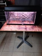 Aquarium Juwel, Dieren en Toebehoren, Vissen | Aquaria en Toebehoren, Ophalen, Zo goed als nieuw, Leeg aquarium