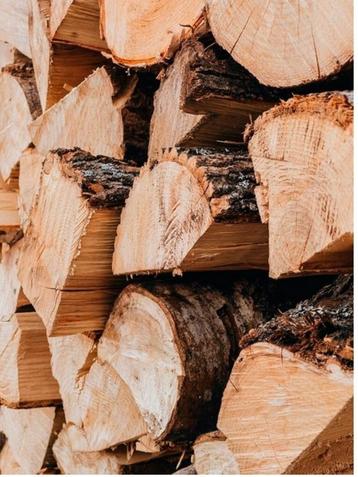 Bois de Chauffage de Très Bonne Qualité Coupé & Fendu beschikbaar voor biedingen