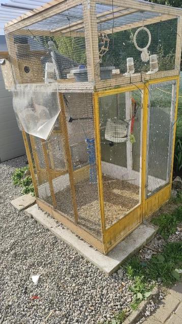 Volière extérieur + extension avec oiseaux beschikbaar voor biedingen