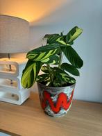 West-Germany vintage fat lava bloempot, Tuin en Terras, Bloempotten, Ophalen