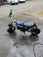 Replica Monkey 50 cc op te halen in Kalmthout, Ophalen, 11 kW of minder