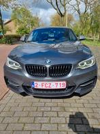 PERFORMANCES DE LA BMW M235I, Achat, Particulier
