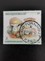 Belgie 1991 - champignons - parelamaniet, Ophalen of Verzenden, Gestempeld