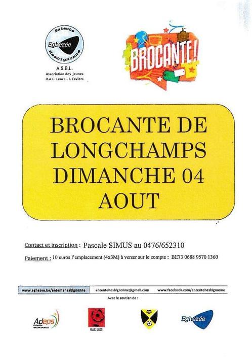 4 BROCANTE LE 04/08/2024 DE LONGCHAMPS (5310), Divers, Divers Autre, Utilisé, Enlèvement