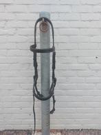 Hoofdstel Rambo Micklem maat cob, Ophalen, Zo goed als nieuw