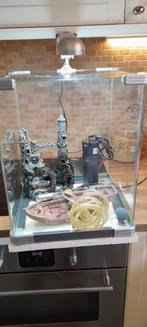 Aquarium, Dieren en Toebehoren, Ophalen