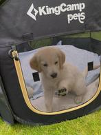 "KingCamp pets" Joli parc pour animaux de compagnie, Comme neuf