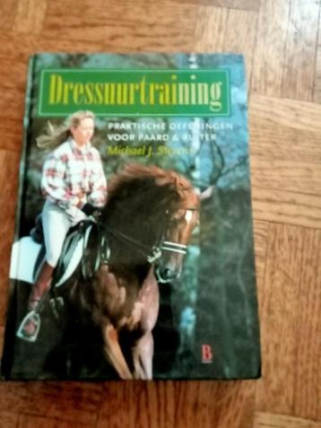 Dressuur training: Michael J Stevens  beschikbaar voor biedingen
