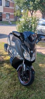Sym 125cc Joy max, Ophalen