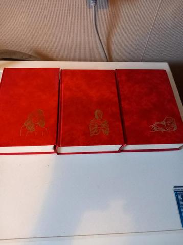 Angelique 3 boeken  beschikbaar voor biedingen