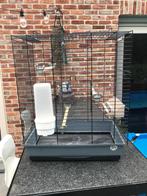 Vogelkooi met drink en eetbakje, Ophalen, Gebruikt, Vogelkooi