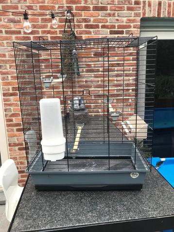 Vogelkooi met drink en eetbakje beschikbaar voor biedingen