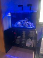 RedSea Reefer 300 G2+ entierement équipé, Dieren en Toebehoren, Ophalen, Zo goed als nieuw