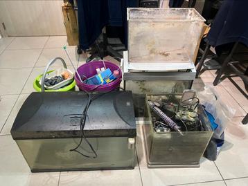 Aquariums + toebehoren beschikbaar voor biedingen