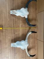 Schedels, Ophalen, Zo goed als nieuw, Schedel