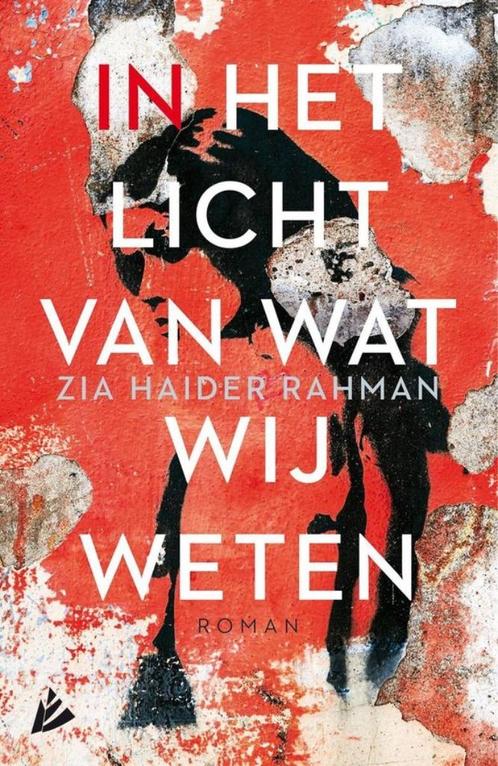 Te Koop Boek IN HET LICHT VAN WAT WIJ WETEN Z. Haider Rahman, Boeken, Romans, Zo goed als nieuw, Amerika, Ophalen of Verzenden