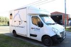 Te huur paardencamionette rijbewijs B, Dieren en Toebehoren, B