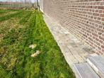 beton klinkers, Tuin en Terras, Ophalen, Gebruikt, Klinkers, 10 m² of meer