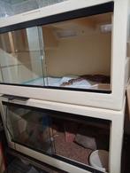 Terrarium, vivarium, herptek, Dieren en Toebehoren, Ophalen of Verzenden, Zo goed als nieuw, Terrarium of Paludarium