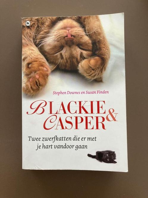 Stephen Downes, Susan Finden: Blackie en Casper, Boeken, Dieren en Huisdieren, Zo goed als nieuw, Katten, Ophalen of Verzenden