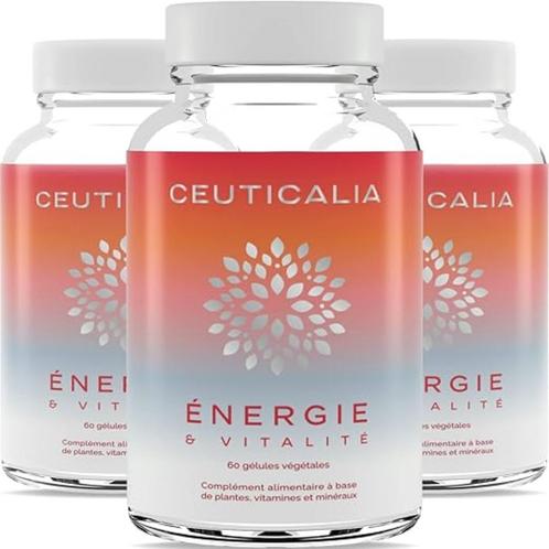 Voedingssupplement energie en vitaliteit GRATIS LEVERING, Sport en Fitness, Gezondheidsproducten en Wellness, Nieuw, Overige typen