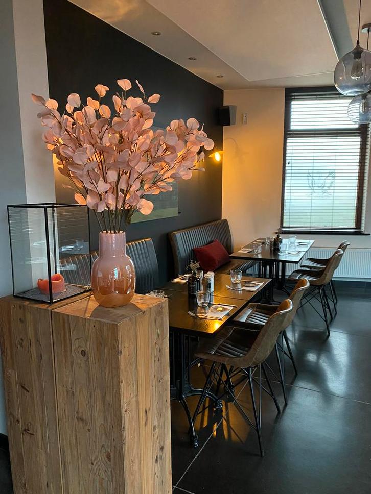 Brasserie de zwaan , zoekt nieuwe huurder of overnemer, Zakelijke goederen, Horeca | Overige, Verzenden