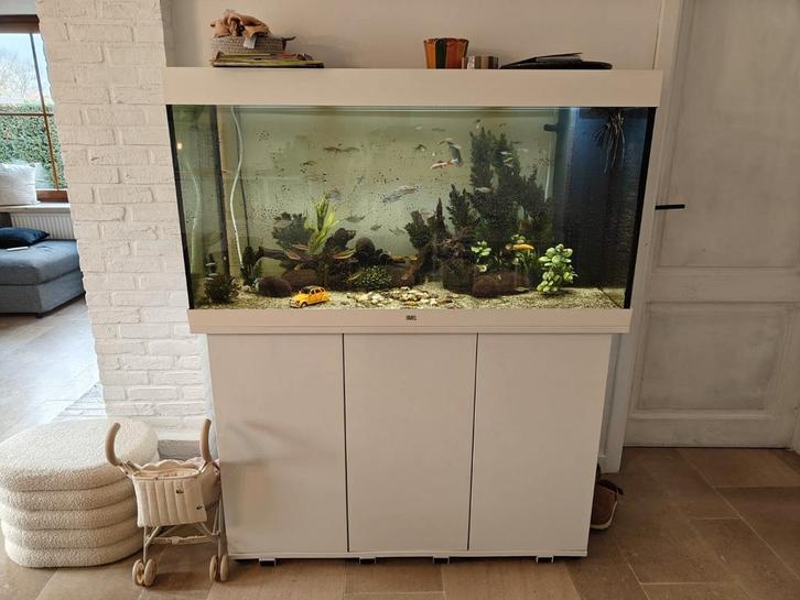 Juwel Rio 300 + starterskit, Dieren en Toebehoren, Vissen | Aquaria en Toebehoren, Ophalen