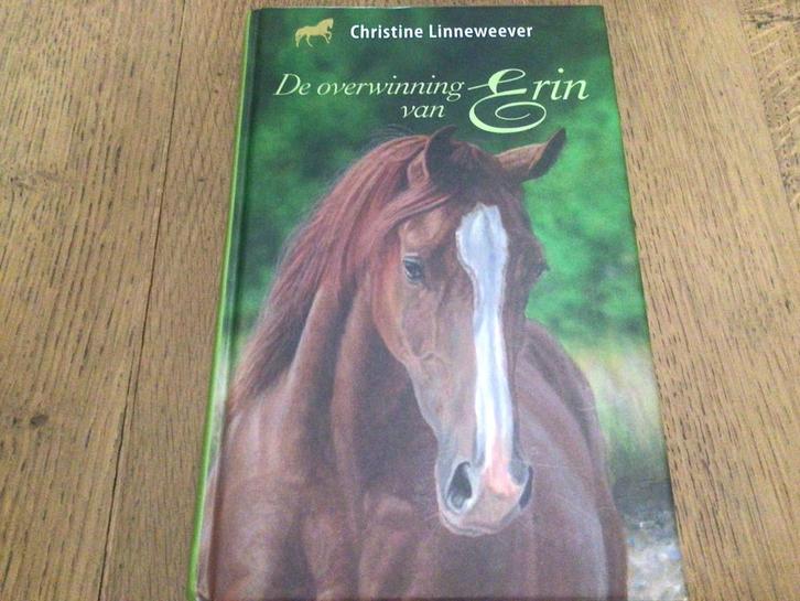 Christine Linneweever - De overwinning van Erin, Livres, Livres pour enfants | Jeunesse | 10 à 12 ans, Utilisé, Enlèvement