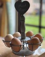 USA zijdehoen broedeieren, Dieren en Toebehoren, Kip