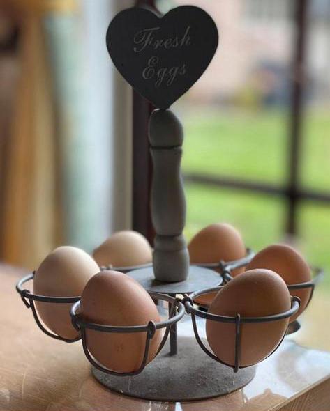 USA zijdehoen broedeieren, Dieren en Toebehoren, Pluimvee, Kip