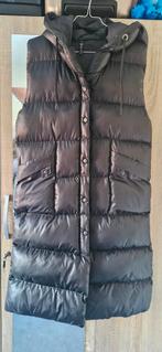 Lange jas, Kleding | Dames, Ophalen of Verzenden, Nieuw