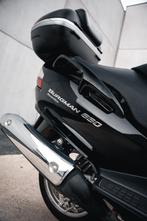Suzuki Burgman 650 Executive, Scooter, Bedrijf, Meer dan 35 kW, 650 cc
