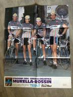 wielerposter 1984 team murella rossin daniel willems, Verzenden, Zo goed als nieuw