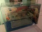 2 aquaria in goede staat, te doneren: 16L en 72L + accessoir, Ophalen, Gebruikt, Leeg aquarium