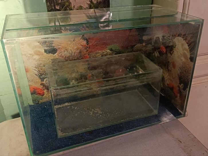 2 aquaria in goede staat, te doneren: 16L en 72L + accessoir, Dieren en Toebehoren, Vissen | Aquaria en Toebehoren, Gebruikt, Leeg aquarium