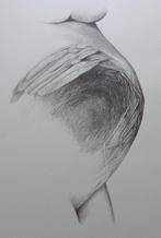 CYR FRIMOUT / NESTGEVOEL / ZW-W LITHO / 67x48cm / SIG, Antiek en Kunst, Ophalen of Verzenden