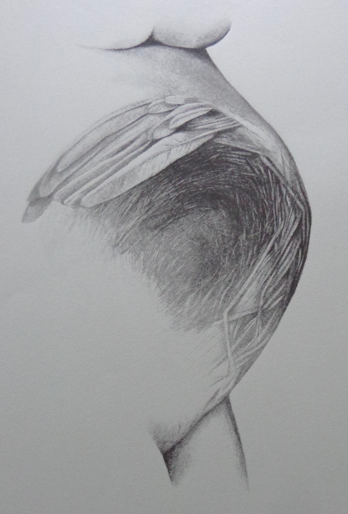 CYR FRIMOUT / NESTGEVOEL / ZW-W LITHO / 67x48cm / SIG, Antiek en Kunst, Kunst | Litho's en Zeefdrukken, Ophalen of Verzenden