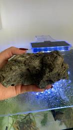 Aquarium steen, Dieren en Toebehoren, Ophalen, Zo goed als nieuw, Plant(en), Steen of Hout