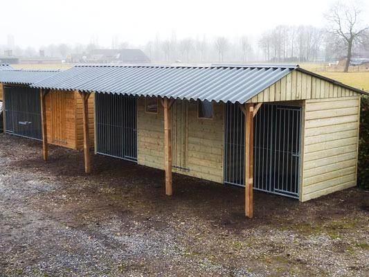 Hondenkennel 'Max' met tuinhuis-opslag, Dieren en Toebehoren, Hondenhokken, Nieuw, Hondenkennel, Ophalen