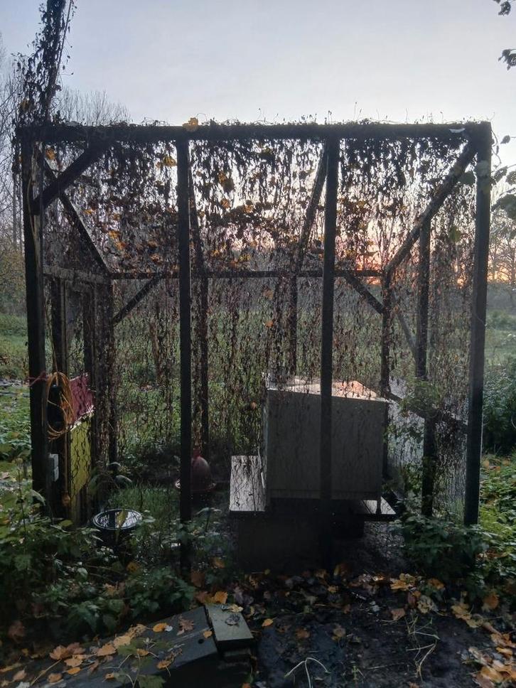 Kippenhok, Animaux & Accessoires, Oiseaux | Cages & Volières, Bois, Enlèvement