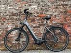 Vélo électrique Pegasus strong evo 5R, Overige merken, 50 km per accu of meer, Zo goed als nieuw, 51 tot 55 cm